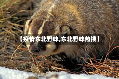 【疫情东北野味,东北野味热搜】-第1张图片