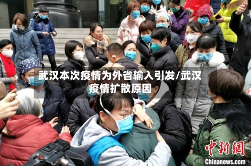 武汉本次疫情为外省输入引发/武汉疫情扩散原因-第1张图片