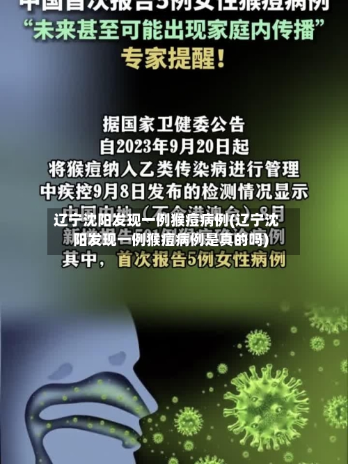 辽宁沈阳发现一例猴痘病例(辽宁沈阳发现一例猴痘病例是真的吗)-第1张图片