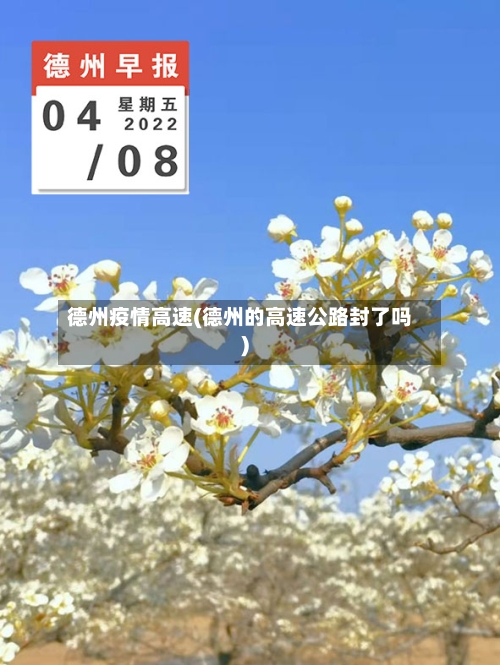 德州疫情高速(德州的高速公路封了吗)-第2张图片