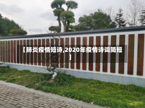 【肺炎疫情短诗,2020年疫情诗词简短】-第2张图片