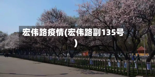 宏伟路疫情(宏伟路副135号)-第1张图片