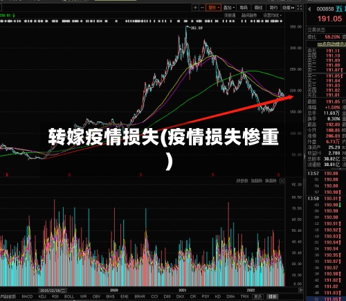 转嫁疫情损失(疫情损失惨重)-第2张图片