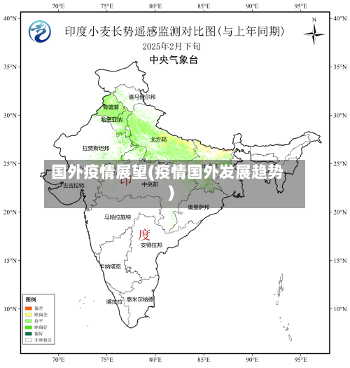 国外疫情展望(疫情国外发展趋势)-第1张图片