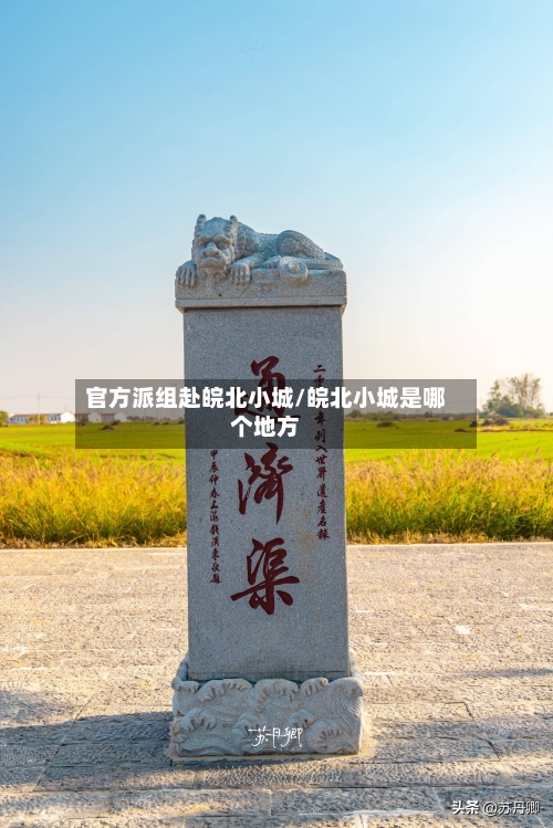 官方派组赴皖北小城/皖北小城是哪个地方-第2张图片