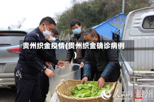 贵州织金疫情(贵州织金确诊病例)-第1张图片