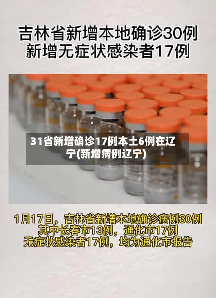 31省新增确诊17例本土6例在辽宁(新增病例辽宁)-第2张图片