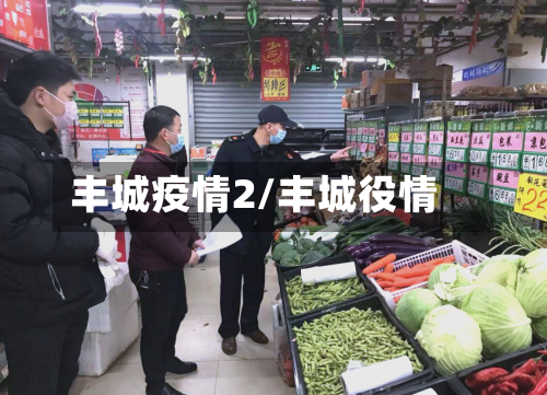 丰城疫情2/丰城役情-第1张图片