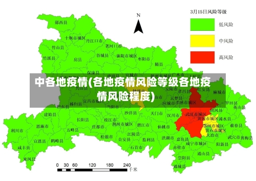 中各地疫情(各地疫情风险等级各地疫情风险程度)-第1张图片