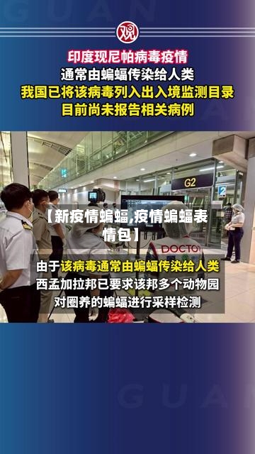 【新疫情蝙蝠,疫情蝙蝠表情包】-第2张图片