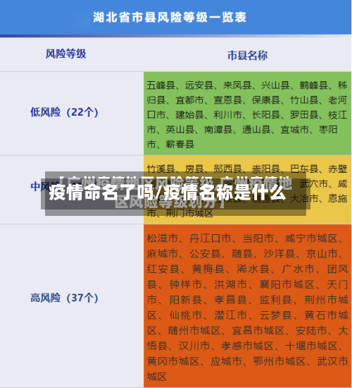 疫情命名了吗/疫情名称是什么-第1张图片