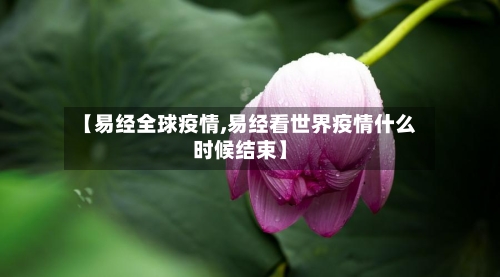 【易经全球疫情,易经看世界疫情什么时候结束】-第1张图片